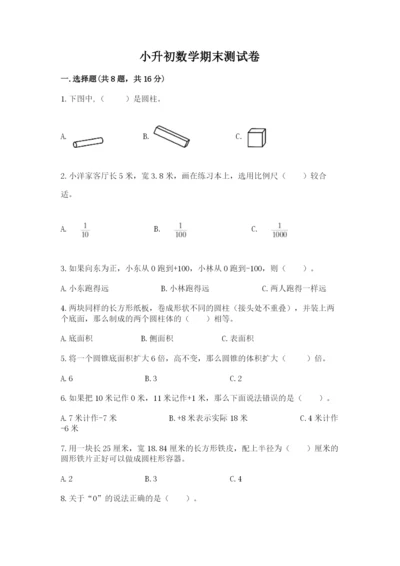小升初数学期末测试卷汇编.docx