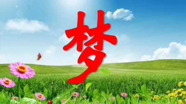 统编版语文二年级下册8《彩色的梦》课件