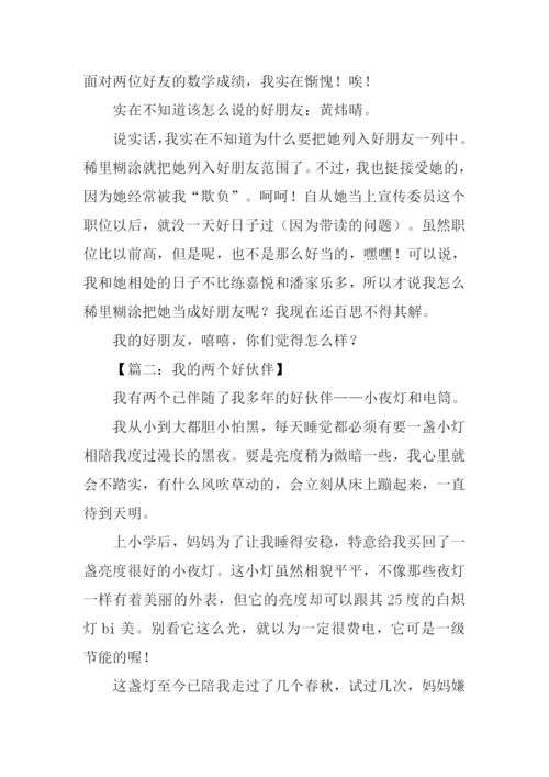 描写小伙伴的作文-1.docx