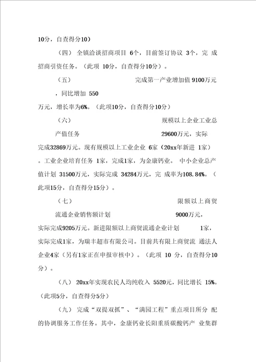 乡镇综合目标管理责任制执行情况自查报告