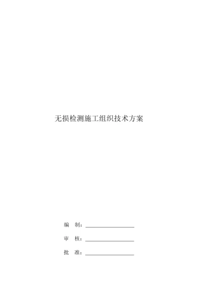 无损检测综合标准施工组织核心技术专业方案.docx