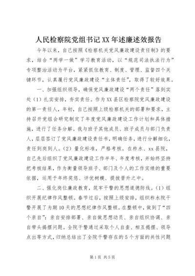 人民检察院党组书记某年述廉述效报告.docx