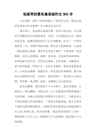 张家界的景色真美丽作文800字.docx