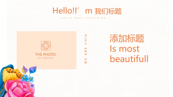 母婴护理培训学校工作总结计划动态PPT