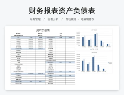 财务报表资产负债表