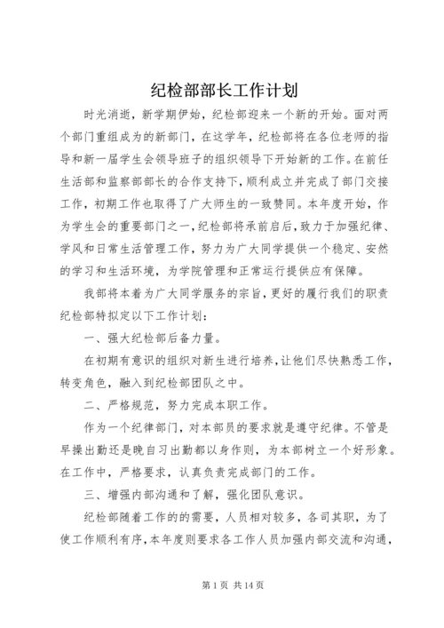 纪检部部长工作计划精编.docx