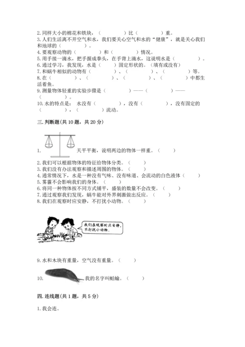 教科版一年级下册科学期末测试卷带答案（新）.docx