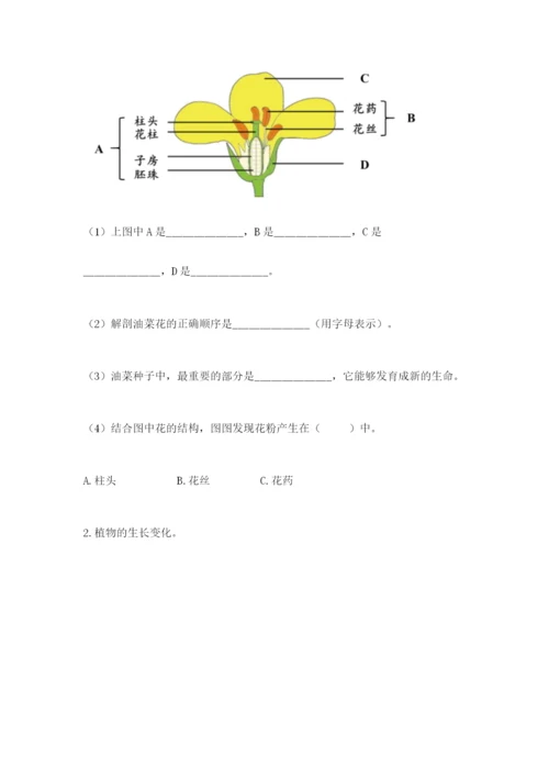 科学四年级下册第一单元《植物的生长变化》测试卷完整.docx