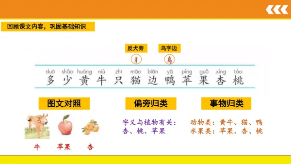 7 大小多少  课件