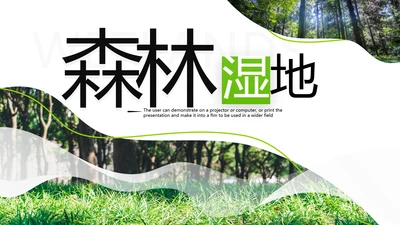 绿色环保森林湿地环境保护生态森林业PPT