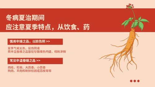 冬病夏治中医养生方案通用PPT课件模板