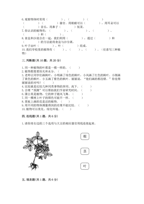 教科版一年级上册科学期末测试卷ab卷.docx