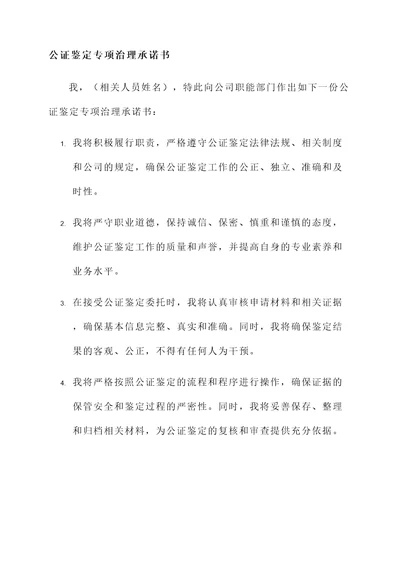 公证鉴定专项治理承诺书