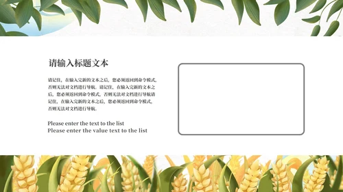 蓝色清新中国传统芒种节气PPT模板