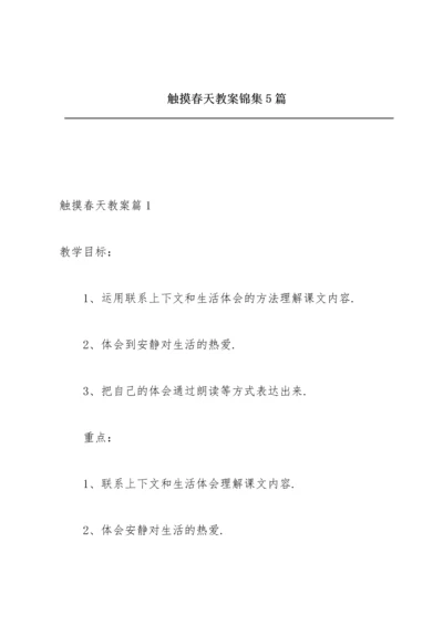 触摸春天教案锦集5篇.docx