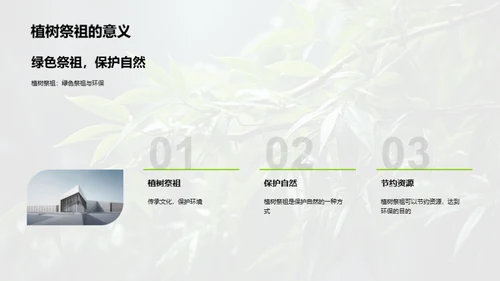 清明节的绿色祭祀