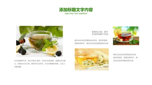 茶具茶叶绿茶白茶红茶黑茶茶文化茶厂PPT