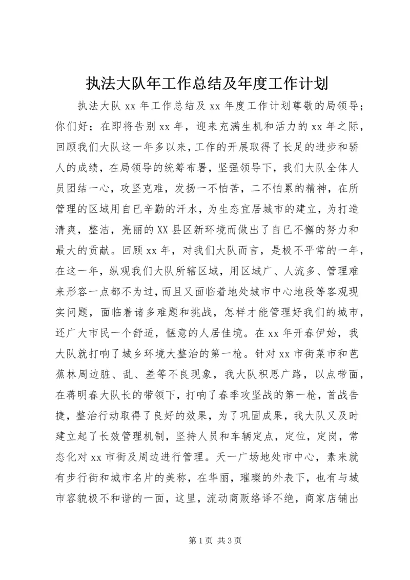 执法大队年工作总结及年度工作计划 (2).docx