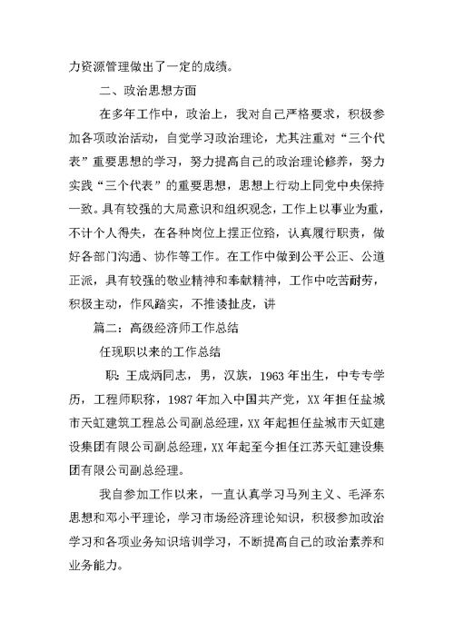 高级经济师专业技术工作总结