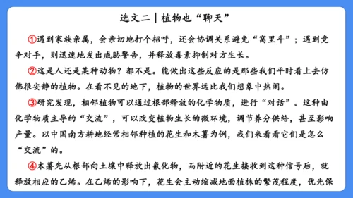 期末专项复习 说明文阅读复习（课件）-2024-2025学年语文五年级上册（统编版）