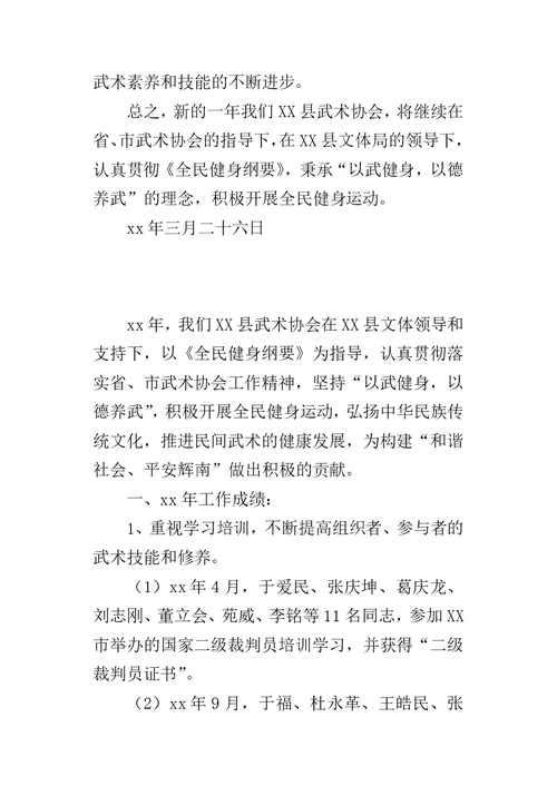 武术协会某年工作总结