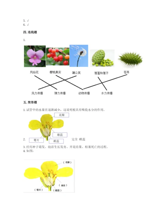 教科版科学四年级下册第一单元《植物的生长变化》测试卷精品（典型题）.docx