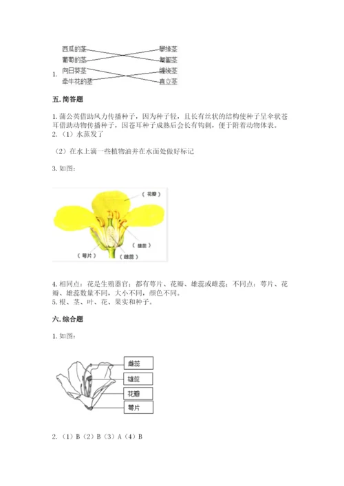 科学四年级下册第一单元植物的生长变化测试卷附答案【考试直接用】.docx
