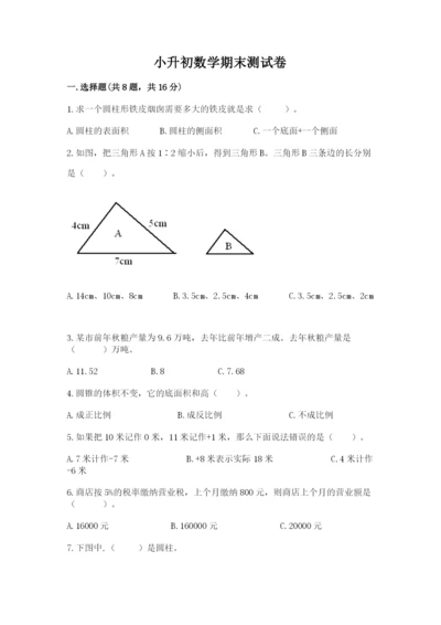 小升初数学期末测试卷【完整版】.docx