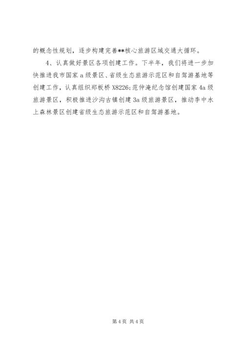 旅游局XX年上半年工作总结和下半年工作计划_1.docx
