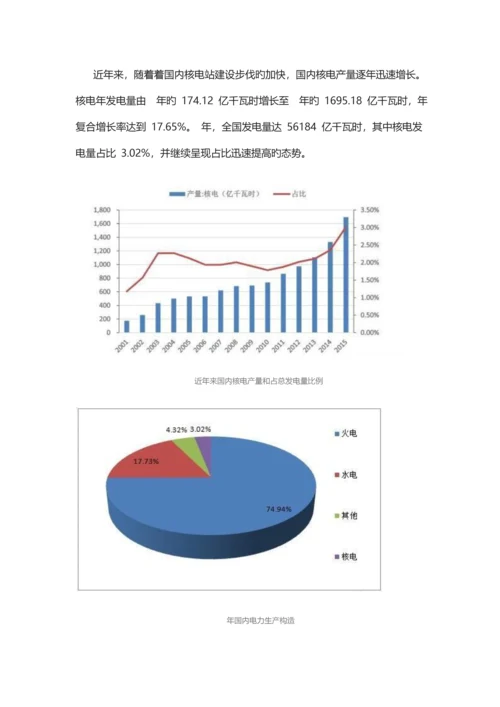 中国核电行业大数据金准报告.docx