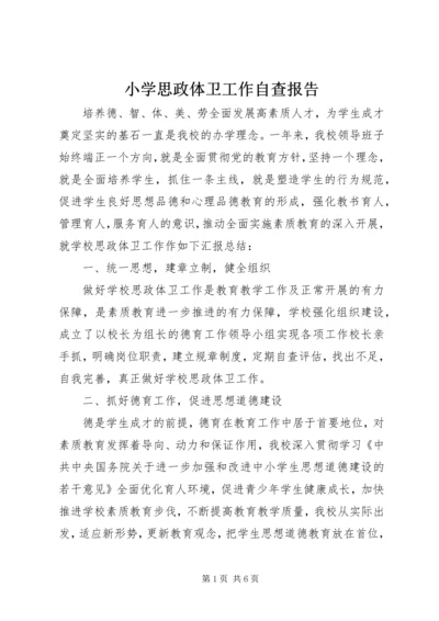 小学思政体卫工作自查报告 (3).docx