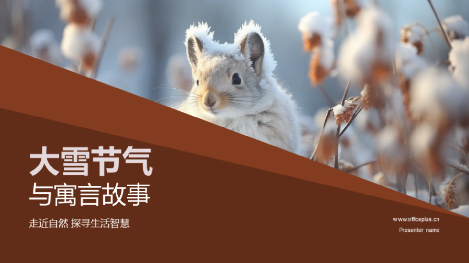 大雪节气与寓言故事