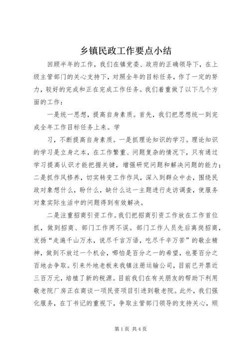 乡镇民政工作要点小结.docx