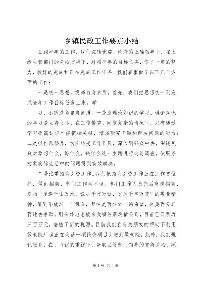 乡镇民政工作要点小结.docx