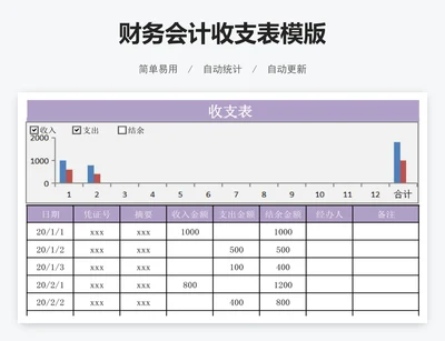 财务会计收支表模版