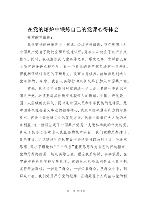 在党的熔炉中锻炼自己的党课心得体会.docx