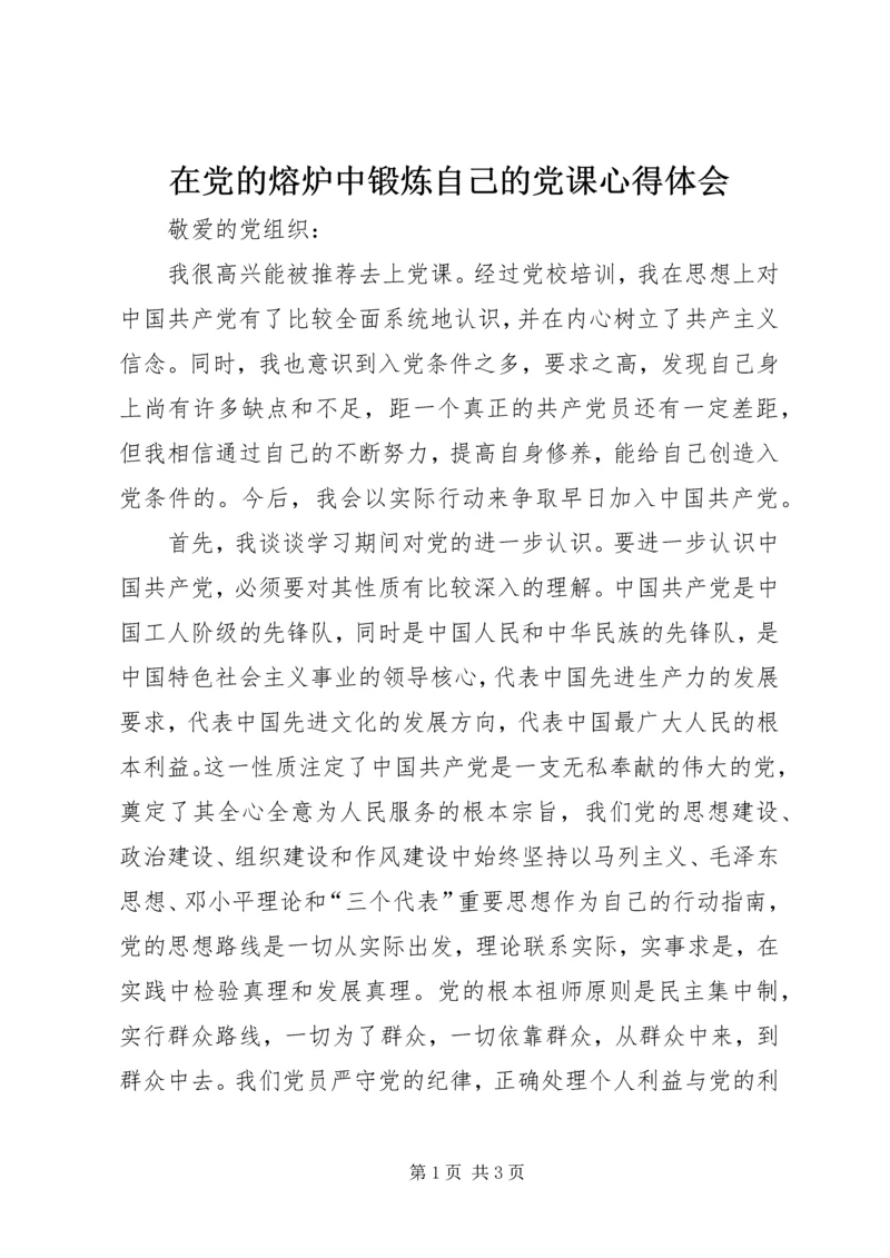 在党的熔炉中锻炼自己的党课心得体会.docx