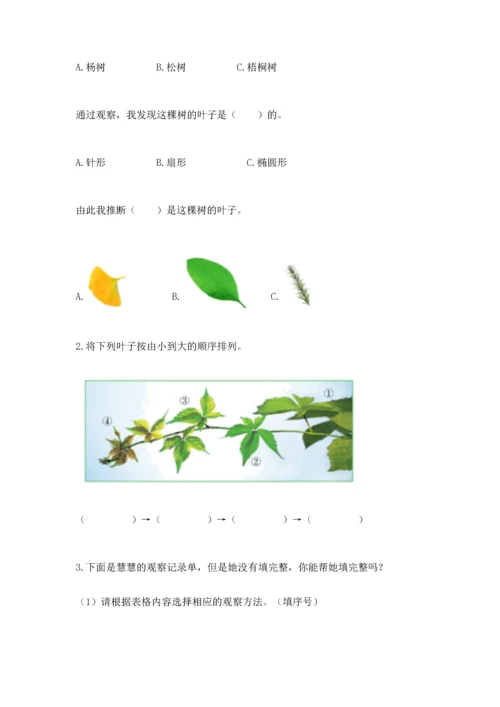 教科版科学一年级上册第一单元《植物》测试卷（综合题）word版.docx
