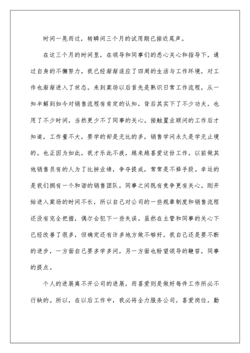销售试用期工作总结精辟简短