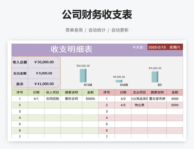 公司财务收支表