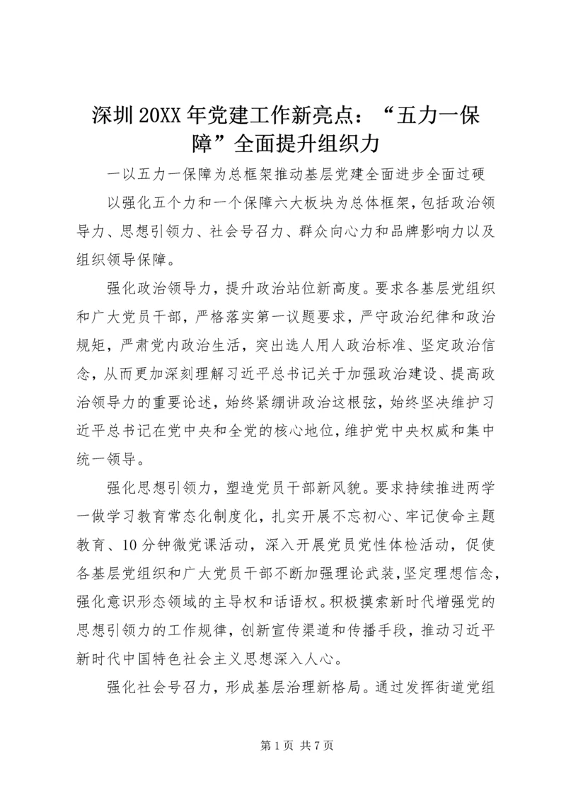 深圳20XX年党建工作新亮点：“五力一保障”全面提升组织力.docx