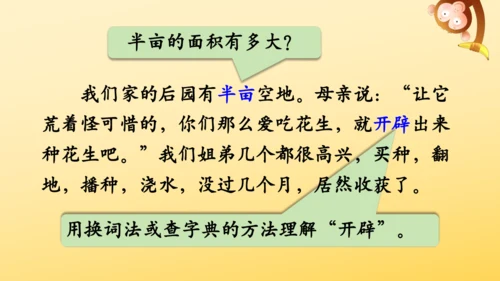 2 落花生    课件