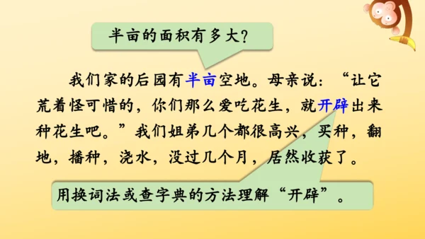 2 落花生    课件