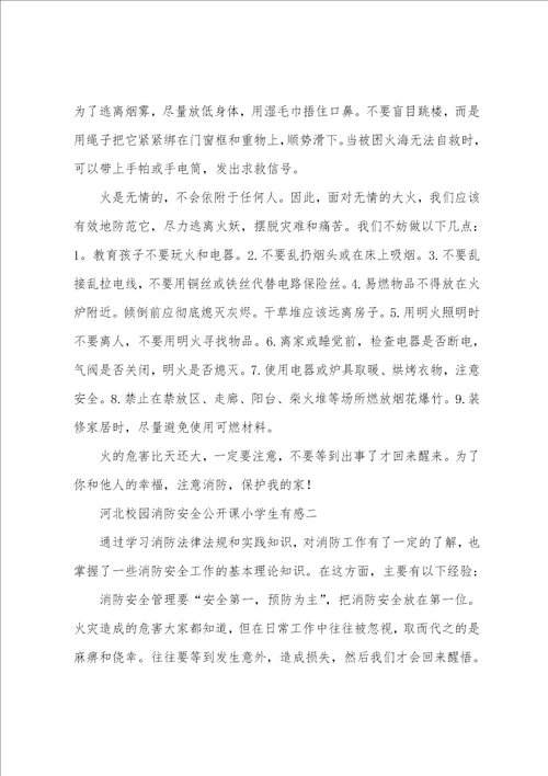 小学生寒假河北校园消防安全公开课小学生有感20222023