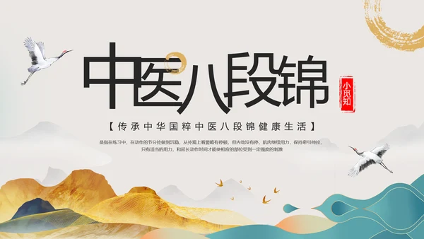 浅色中国风中医八段锦PPT模板宣传PPT动态PPT