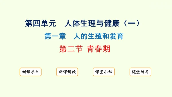 4.1.2 青春期-七年级生物下学期同步精品课件（2024人教版）(共27张PPT)