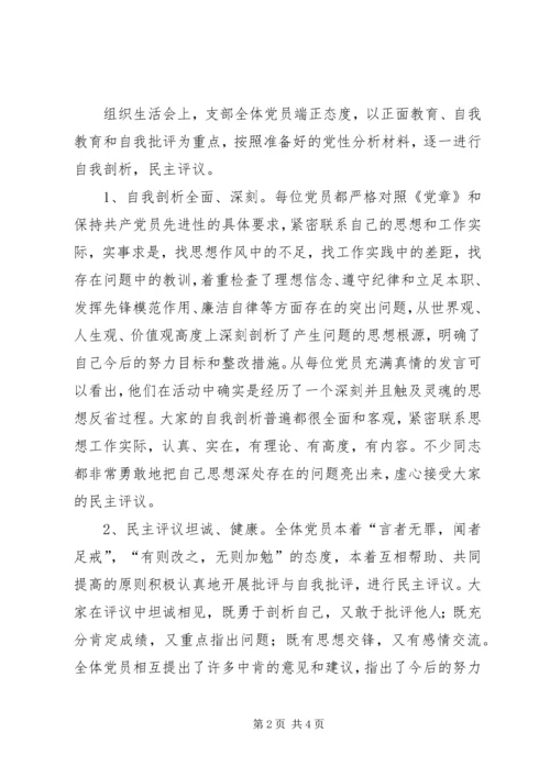 水利局党支部专题组织生活会情况汇报精编.docx