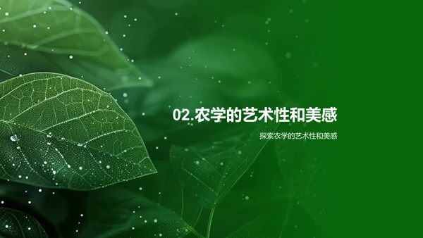 农学美学教学