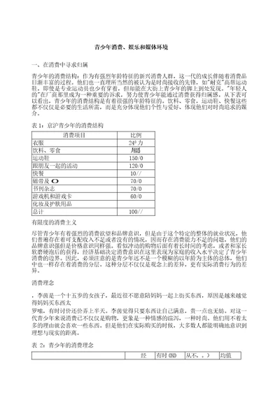 市场营销书籍集萃0266青少年消费娱乐和媒体环境13页