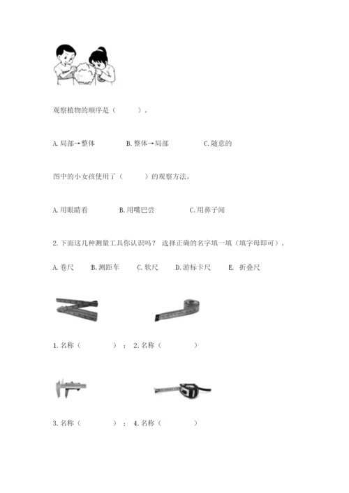 教科版一年级上册科学期末测试卷精品（巩固）.docx